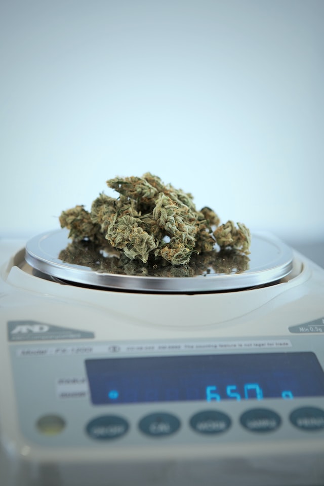 best marijuana strains for pain and fatigue